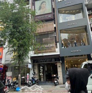 phố tây sang trọng! bán nhà 149a lê thị riêng gần chợ bến thành - 7.7x25m 4 tầng, hđt 120tr - 28 tỷ