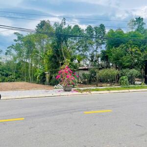 Đất Kinh Doanh Mặt Tiền Huyền Trân Công Chúa Đường 16,5m Khu Đoạn Sầm Uất Nhất - Đẹp Nhất!