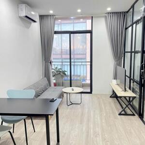 Cho thuê căn hộ mới đẹp tại Thụy Khuê, Tây Hồ, 1PN, 50m2, nội thất sang trọng