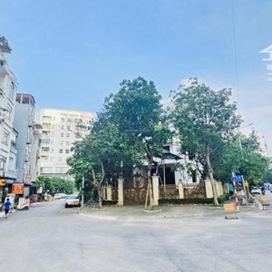 chính chủ bán biệt thự nhà vườn 136 hồ tùng mậu . căn góc 3 mặt tiền . vị trí vip.