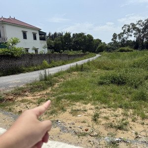 bán lô góc đất đẹp nghi xuân tp vinh giá chỉ 880 triệu đường nhựa thông