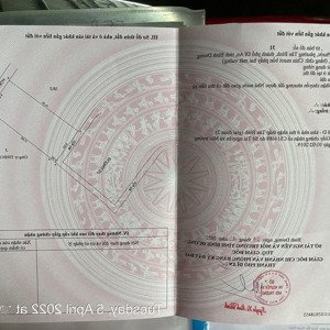 đất kdc lê phong tân bình. ngang 6,25m đường nhựa 14m. gần ngã tư chiêu liêu