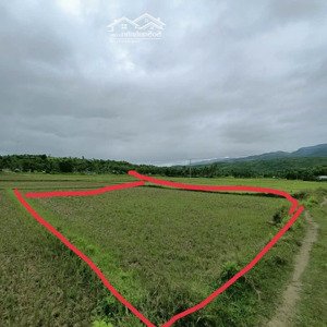 chính chủ bán đất mặt tiền quốc lộ 1a - dt 321 m2 vuông vức - được lên thổ cư - giá chỉ 130triệu