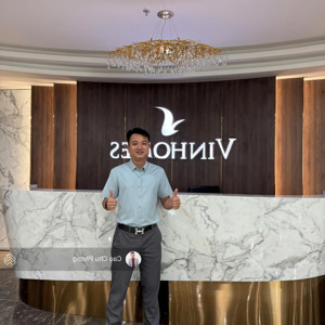 phân khu thiên hà, phân khu đa di năng nhất dự án vinhomes golden city dương kinh. lh 