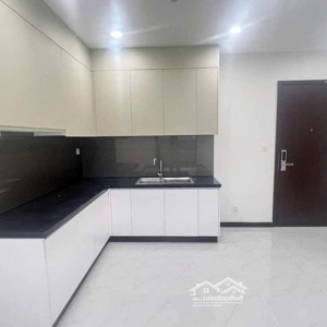 cho thuê căn hộ c-skyview chánh nghĩa giá rẻ, 80m2 2pn 2wc có nội thất cơ bản