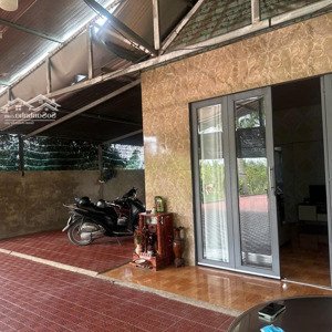 bán gấp nhà vườn ao cá 6.450m2 gần bv nhi đồng bình chánh