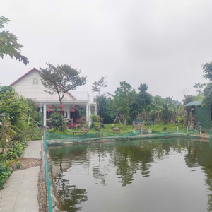 hơn 10tr/m2. bán gần 1300m2 đất (tặng biệt thự) tại đông tảo khoái châu. đường 2 ô tô tránh