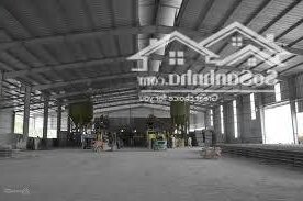 Cho thuê 18.000m2 kho/xưởng chuẩn KCN Sóng Thần 1