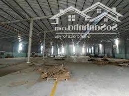 Cho thuê kho xưởng 2500m2 giá 56.832,6đ/1m2 đã có VAT TP Thuận An Bình Dương