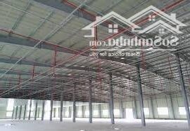 Cho thuê Kho Xưởng Bến Cát D.tích 4.464 m2 PCCC tự động , tiếp đa nghành nghề
