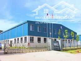 Cho Thuê Nhà Xưởng đang Xây Dựng 6.22 M2 Tại Long Nguyên, Bàu Bàng, Bình Dương