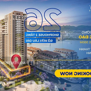 shophouse khối đế toà chung cư sun ponte ngay cầu rồng vị trí vàng kinh doanh - chiết khấu 19%
