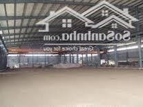 Cho Thuê Kho, Nhà Xưởng 4700m2 Tại đường 13c, Xã Long Nguyên, Bàu Bàng, Bình Dương, 260 Triệu