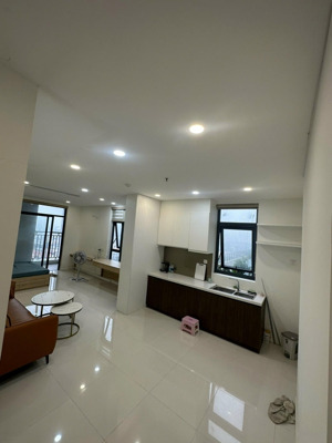 cho thuê cc central premium, 10 triệu, 44m2, 1pn, 1wc, đẹp, nhiều tiện ích