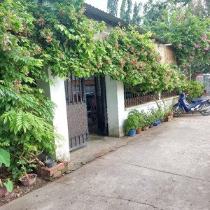 bán nhà 2pn, 1wc, giá siêu hời 304m2 ở 1/ đường cây da, tân phú trung, củ chi, hcm