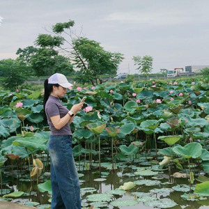 bán đất đấu giá xã thắng lợi, 3,95 tỷ, 65m2, thường tín, hà nội, giá ưu đãi, uy tín