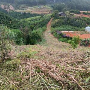 Bán lô đất vườn Xuân Thọ - Đà Lạt