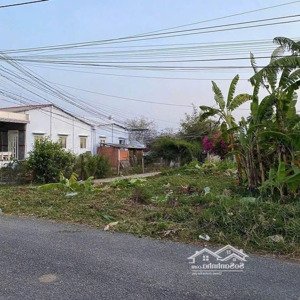 chính chủ cần ra hàng nhanh đất gần cao tốc bl-lt, giá 509tr, shr, bank hỗ trợ