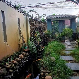 bán căn góc mặt tiền thoáng hẻm ô tô xuân lạc vĩnh ngọc - hẻm ô tô rộng 4m - diện tích: 180.2m2