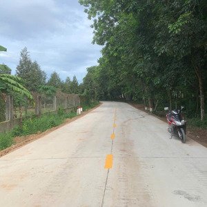 bán đất tại quốc lộ 13, xã trừ văn thố, bàu bàng, bình dương, 790 triệu, 1000 m2
