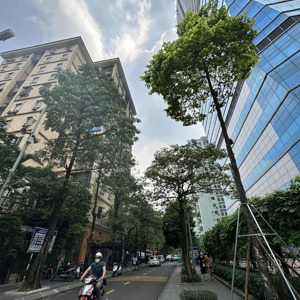 bán shophouse dòng tiền phố lê văn lương, 280m2, 2t, mt 6m, dòng tiền hơn 2 tỷ/năm.