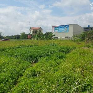 BÁN LÔ ĐẤT HIẾM &#8211; ĐẦU TƯ SINH LỜI CAO &#8211; PHÚ HỮU, TP. THỦ ĐỨC