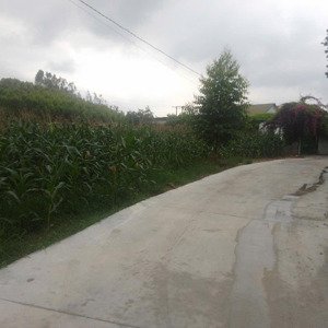 bán 3 lô đất siêu tiềm năng tại lô tranh lục nam