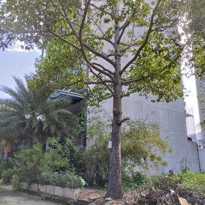 bán gấp lô đất nền dự án huy hoàng, vị trí đất góc 2 mặt tiền đường số 59a 8x20 giá bán 255tr/m