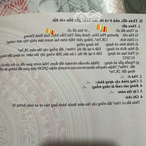bán đất tặng dãy phòng trọ thu nhập ổn định tại phường phú hòa, thủ dầu một