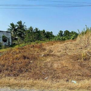 Đất bán gần đường vành đai TP Tân An, Long An