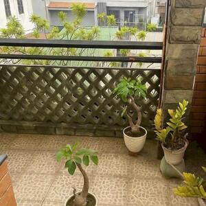 Bán nhà đường Quang Trung, Phường 11 Gò Vấp, 4 phòng ngủ, nhỉnh 3 tỷ
