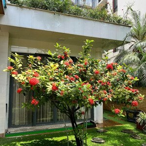 bán biệt thự gamuda gardens, 65 tỷ, 214m2, 5pn, 5wc, giá siêu hời, hoàng mai, hà nội