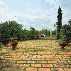 bán nhà vườn siêu đẹp gần chợ long phước - tp bà rịa diện tích khủng lên đến 5.200m