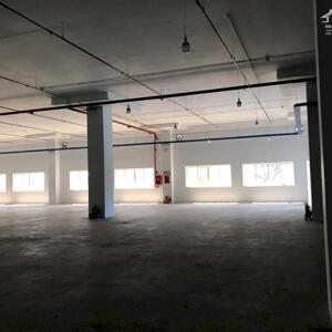 Cho thuê xưởng 5000m2 Phường Linh Trung, Tp Thủ Đức