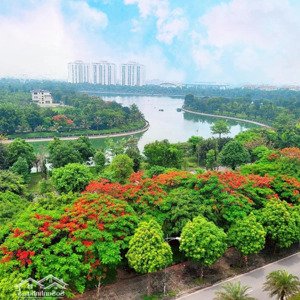 chính chủ bán lô biệt thự a2.5 bt2 ô 28 gần sân golf kđt thanh hà cienco 5, hà đông, giá đầu tư