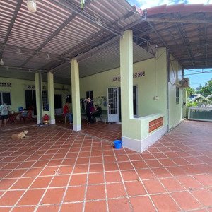 chính chủ cho thuê nhà vườn đẹp đường 88 vị trí đắc địa xã tân phú trung, củ chi, giá chỉ 13tr