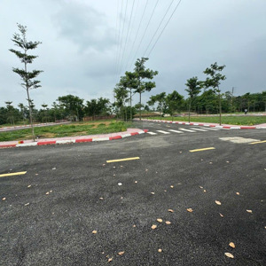 cần bán lô đất 100.6m² mặt tiền 5.3m, chỉ 44.5 tr/m2 khu vip phú cát hòa lạc