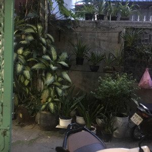 bán căn hộ tầng trệt cư xá vĩnh viễn dt 64m2, giá 3,3 tỷ tại vĩnh viễn, p2, q10, tp.hcm