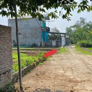 chính chủ cần tiền bán gấp 120m2 đất nền tại thuỷ xuân tiên - chương mỹ