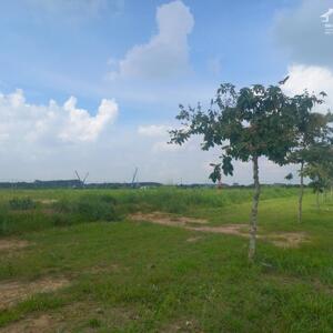 Bán đất xây dựng xưởng 3ha KCN Phước An, Huyện Nhơn Trạch, Đồng Nai