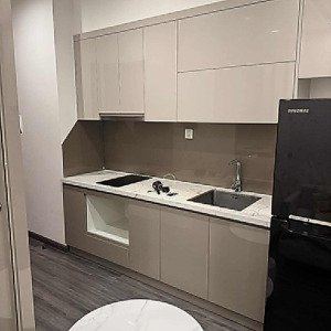 cho thuê căn hộ chung cư vinhomes smart city tây mỗ, tòa tk2, 1pn, đầy đủ nội thất, giá 8tr/tháng