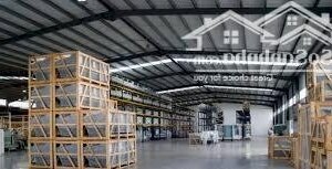 Cho thuê kho 12.000m2 trong kcn sóng thần 1 Mặt Tiền Đường DT743