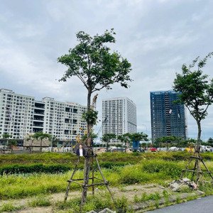 bán cắt lỗ 200 triệu - 1 lô v6 khu đô thị fpt, sát trường tòa nhà complex