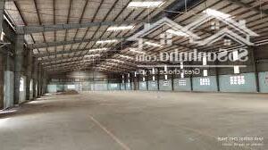 Xưởng Thuận An 17000m vp 500m. Giấy tờ đầy đủ. Sx nhiều ngành nghề. Đường xe cont