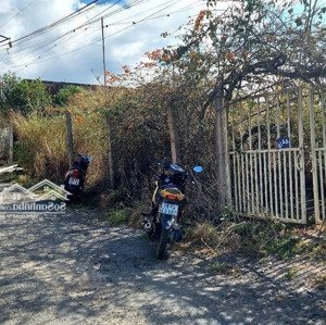 đất biệt thự view rừng thông đường xô viết nghệ tĩnh, p.7, đường nhựa ô tô, dt: 808m2 giá 14,7 tỷ