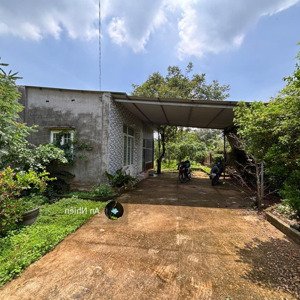 chính chủ cần bán gấp vườn cây ăn trái tặng kèm nhà cấp 4 gần long khánh