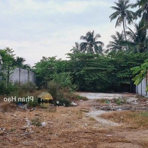hàng ngộp anh hàng xóm gửi đất đ. thầy cai, xã phú hưng, bến tre, dt 140m2/ 576tr, shr