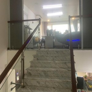 cần bán căn hộ penthouse chung cư 86 tản đà court, duplex căn hộ 2 tầng, phường 11, quận