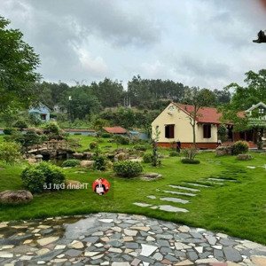 chính chủ bán mảnh đất hơn 5000m2 view sông gần thiên nhiên tại sông trới, hoành bồ, quảng ninh