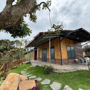chủ định cư nước ngoài cần bán gấp lô đất đà lạt 1000m2/990 triệu có sẳn nhà 2pn, sân vườn.